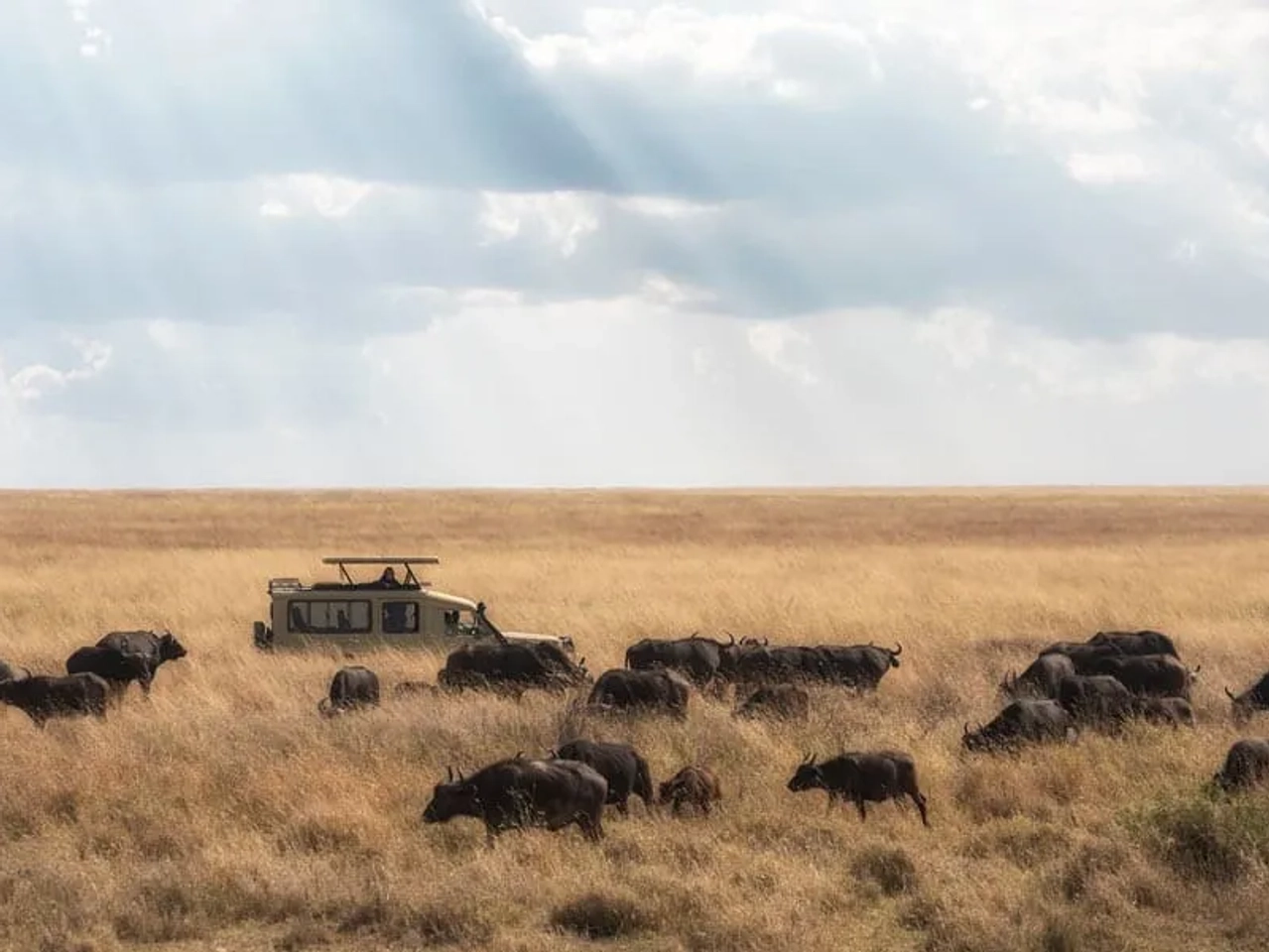 Tanzania en julio