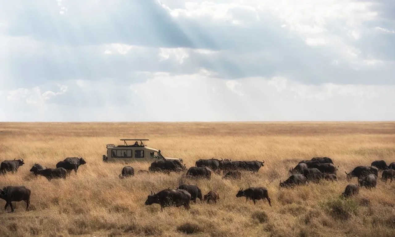 Tanzania en julio