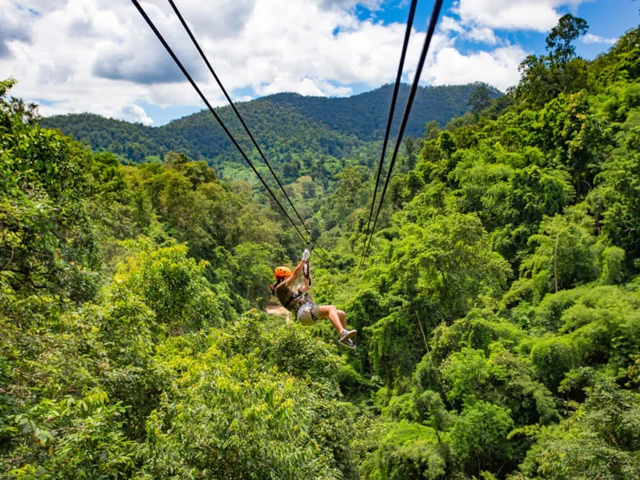 descida de zip line pela floresta