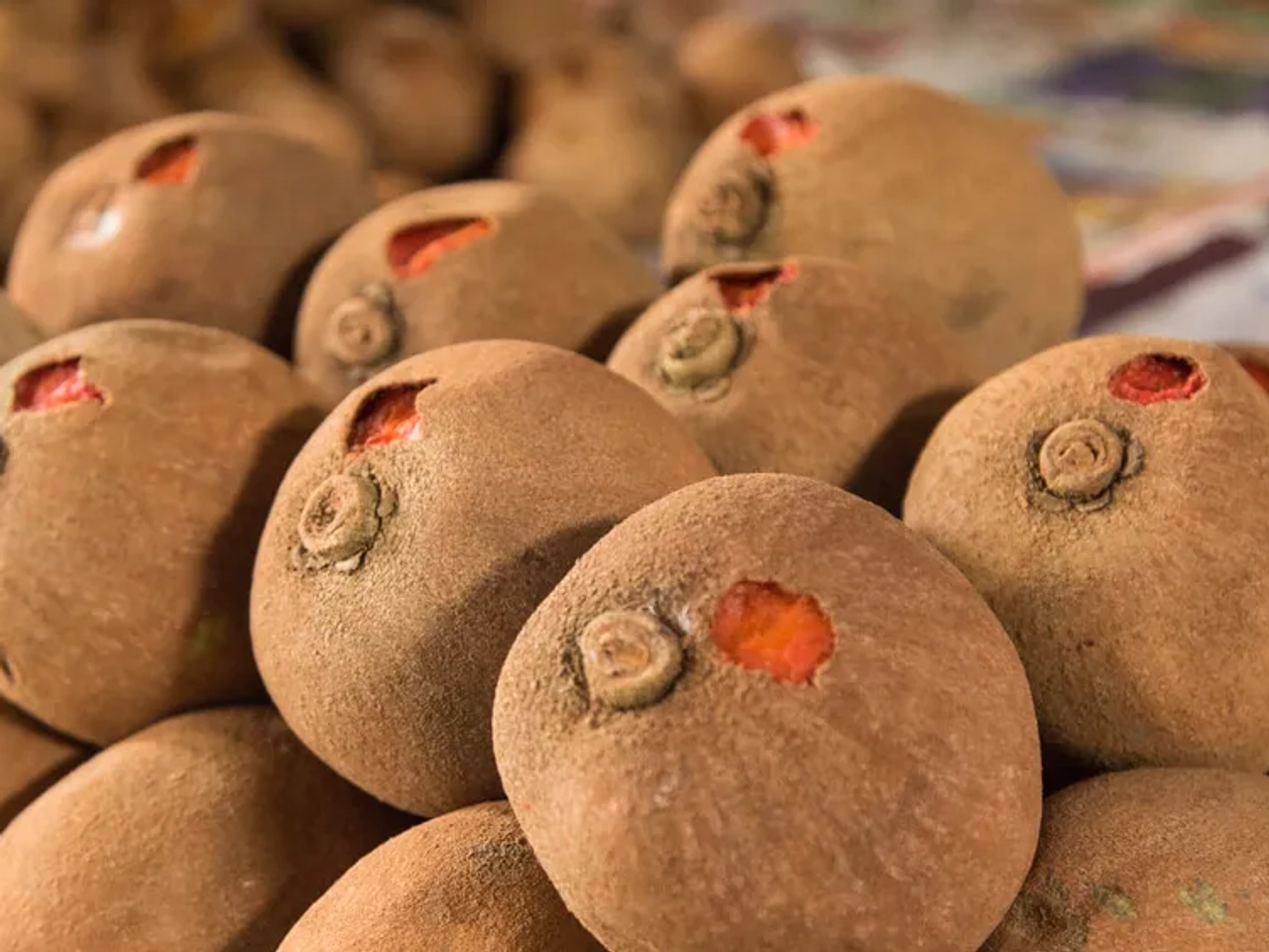 varios zapotes numa cesta