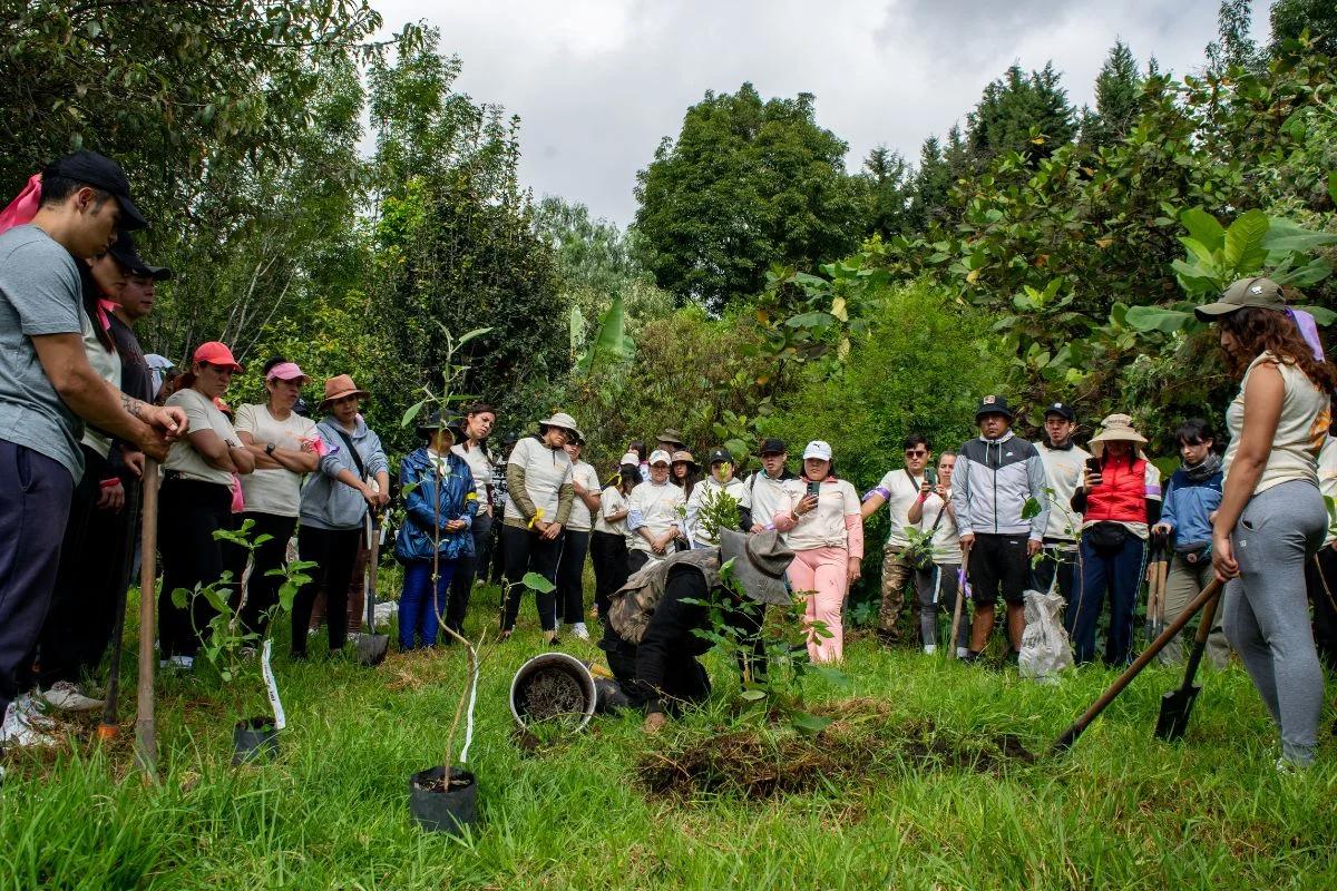 IATI Travel Shakers Reforestación en CDMX