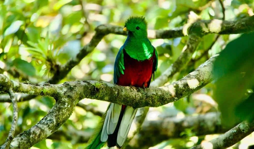 itinerario de viaje por Guatemala en 15 días