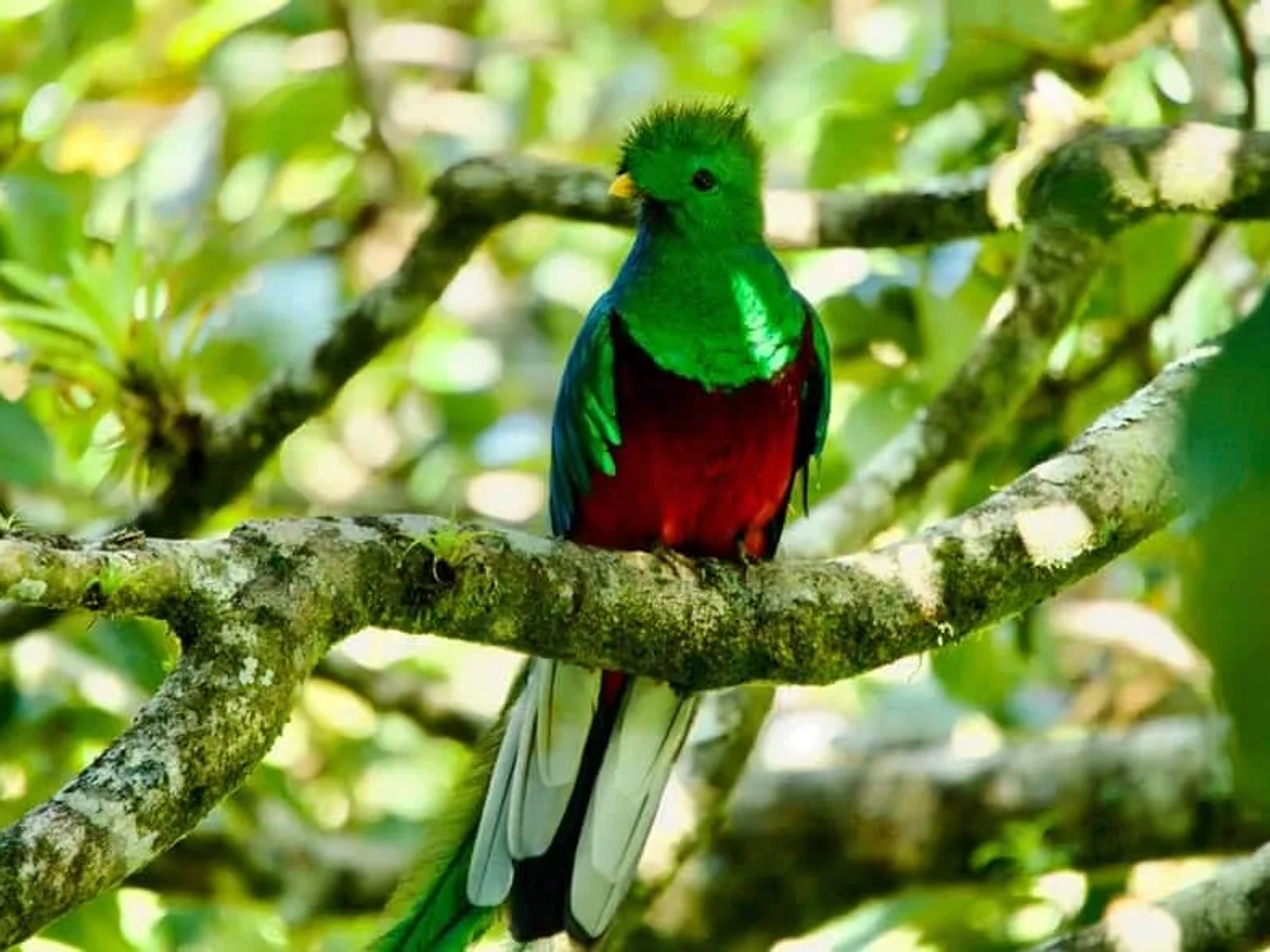 itinerario de viaje por Guatemala en 15 días