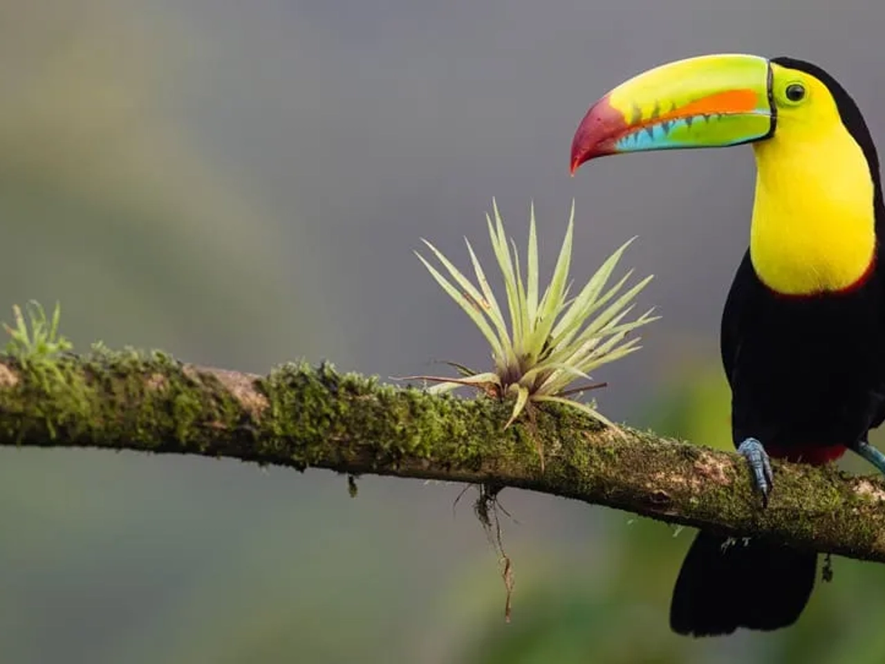 consejos para viajar a Costa Rica