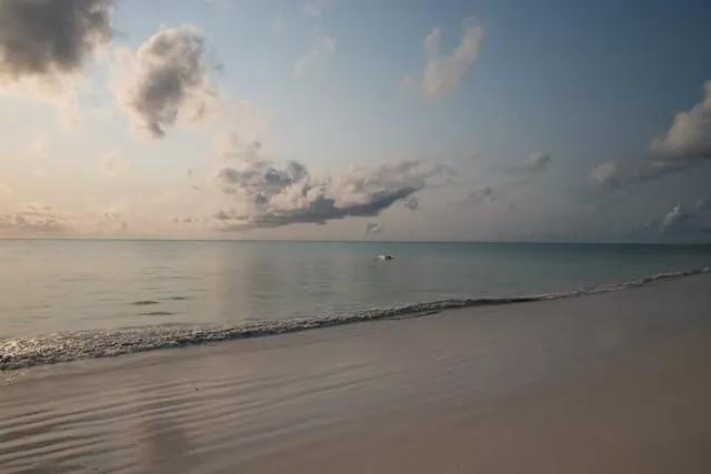 a beach at sunset in zanzibar
