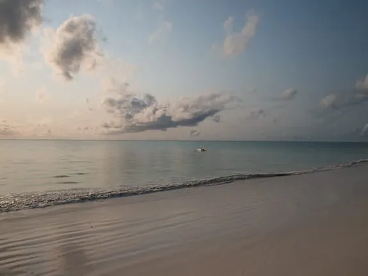 a beach at sunset in zanzibar