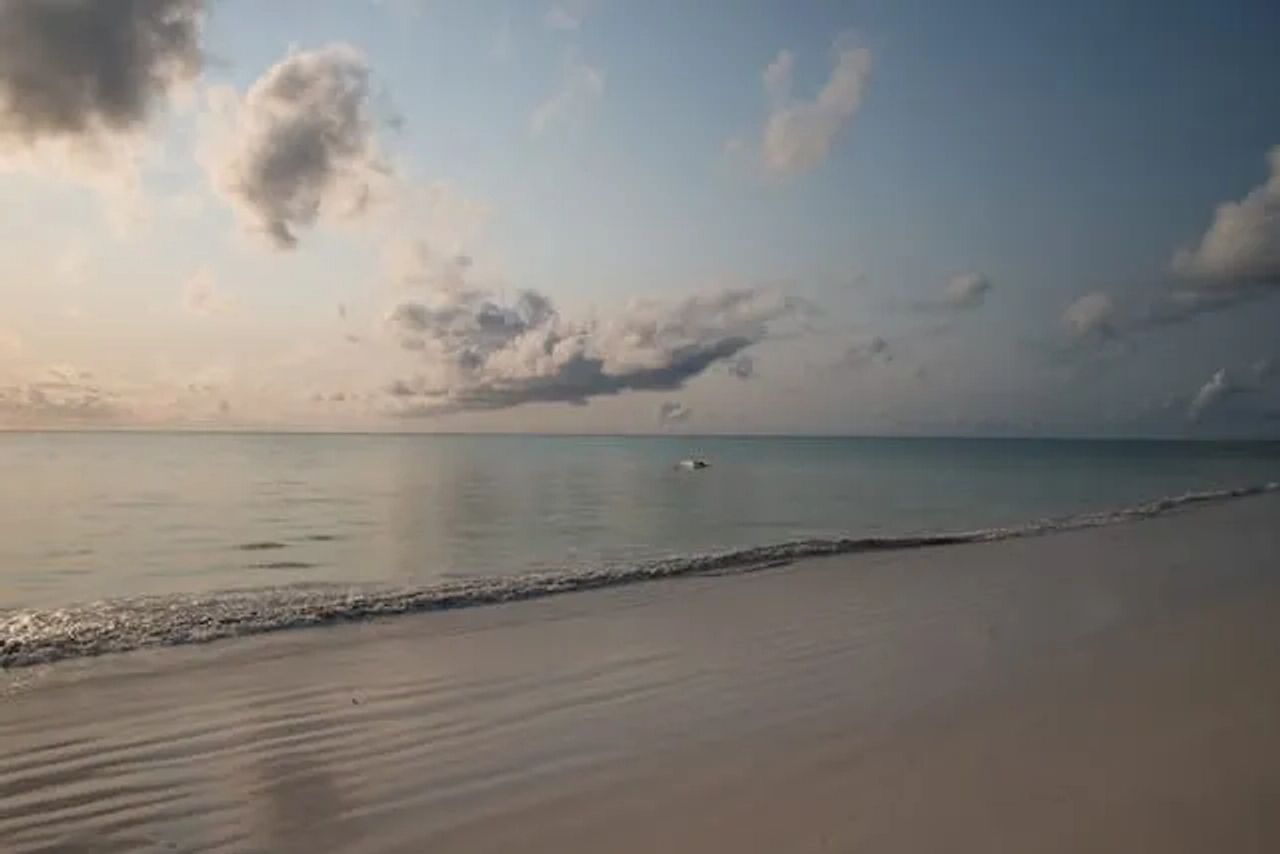 a beach at sunset in zanzibar