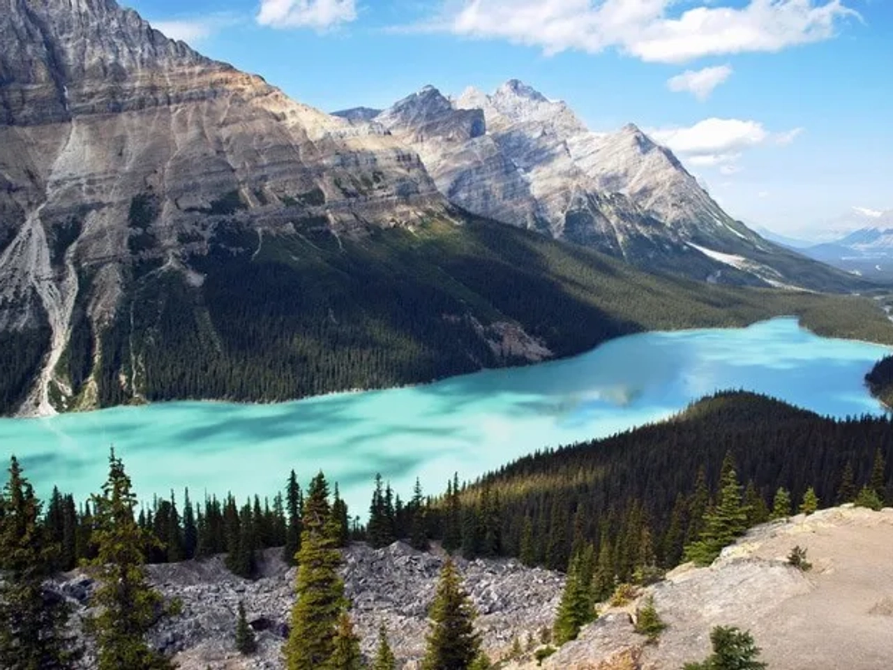 lago Peyto