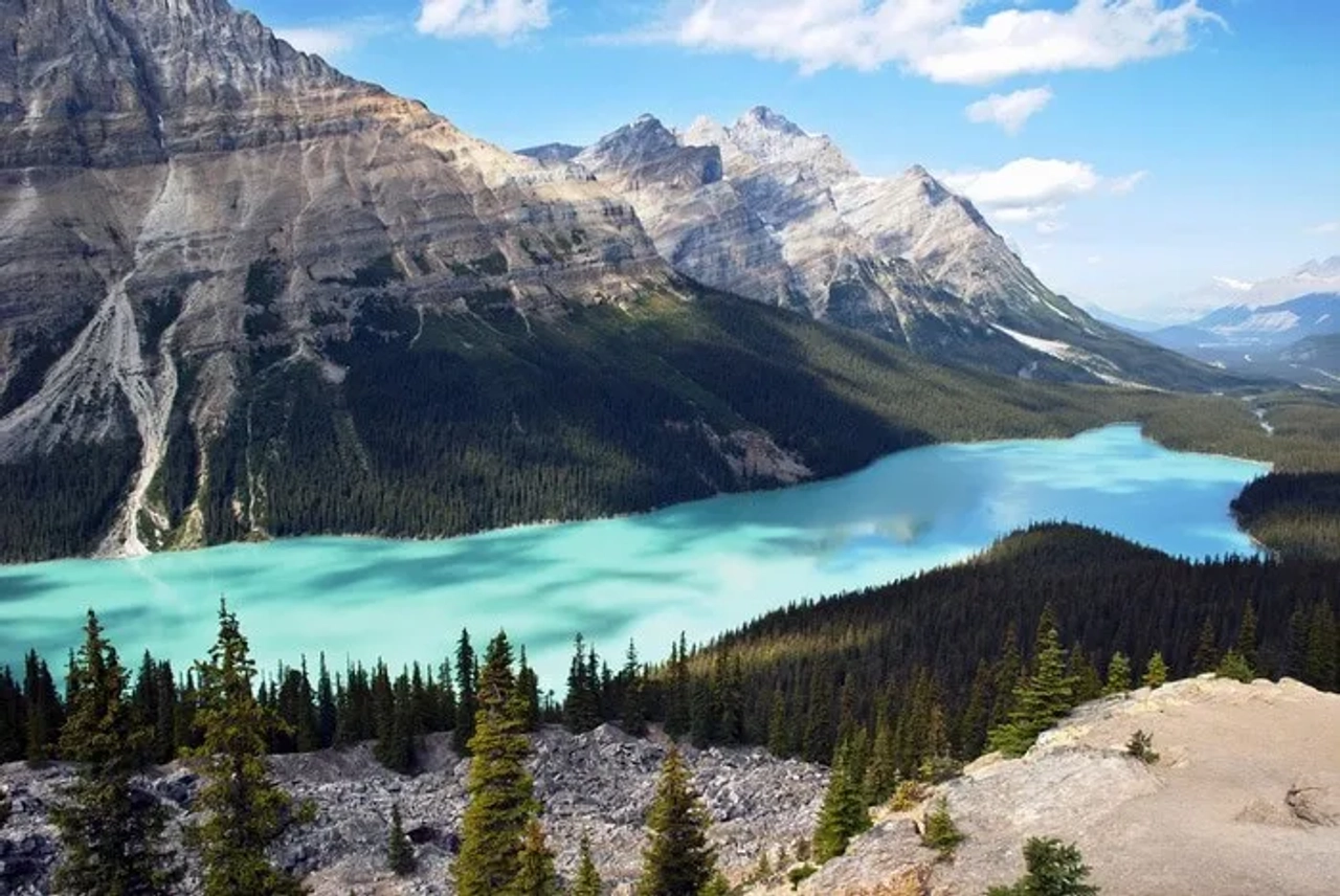 lago Peyto