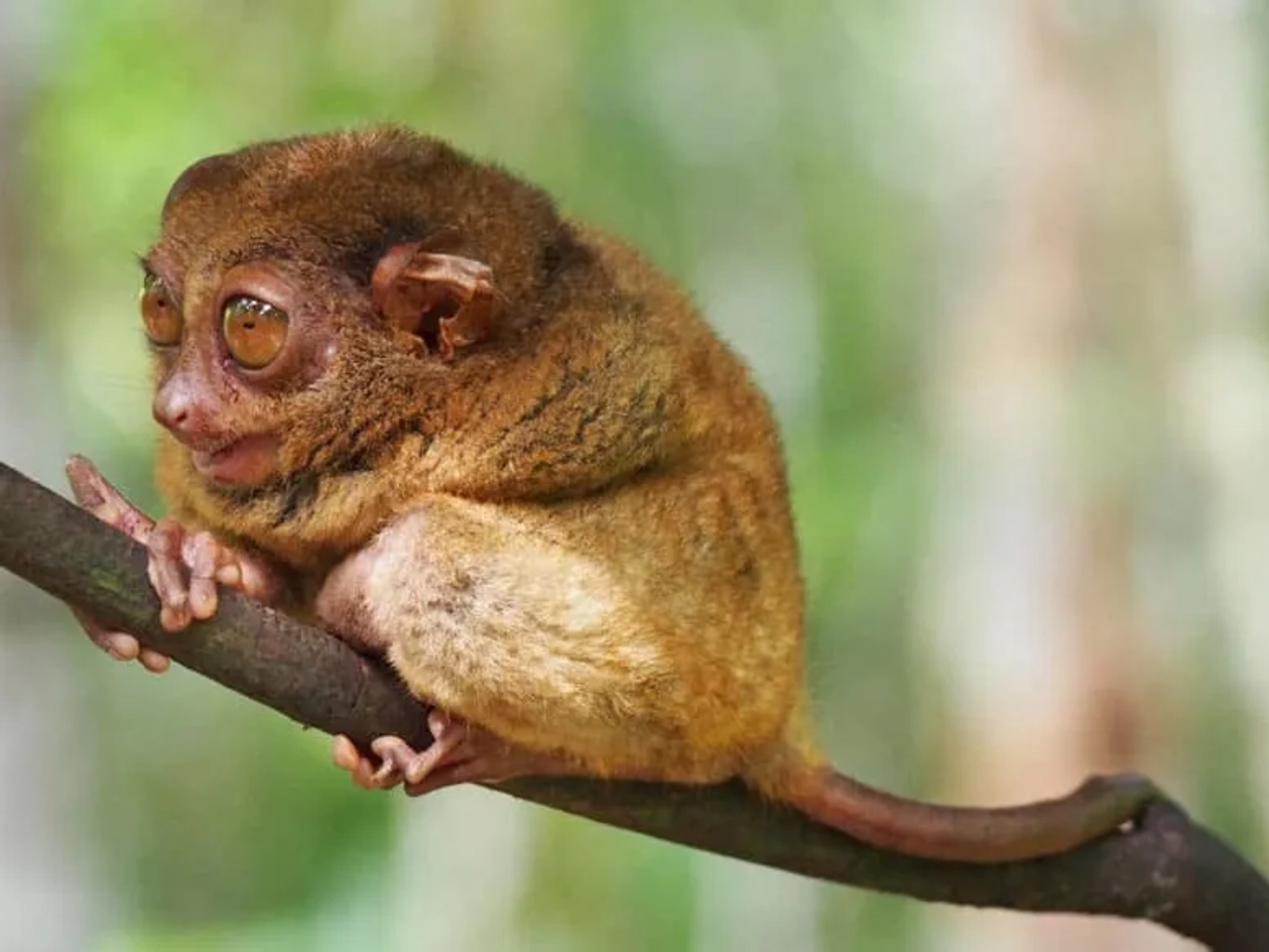 por que visitar Filipinas