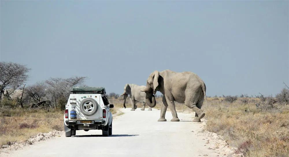 cuánto vale el Parque Nacional de Namibia