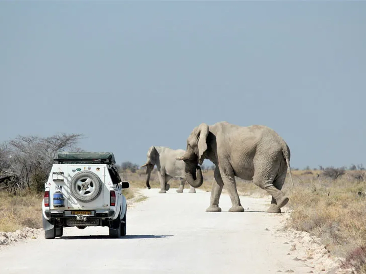 cuánto vale el Parque Nacional de Namibia