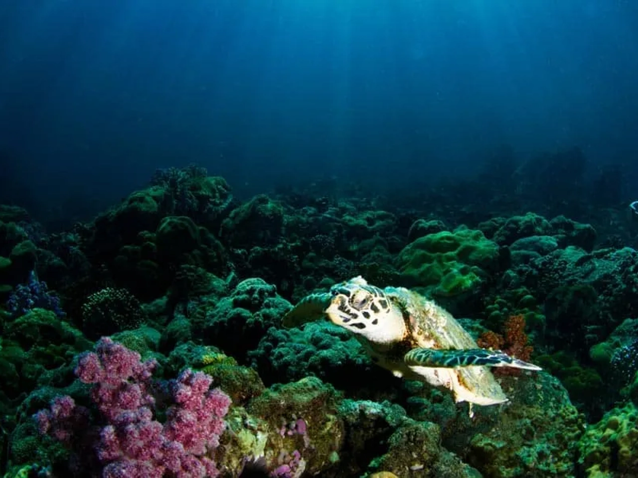 itinerario de buceo en Tailandia