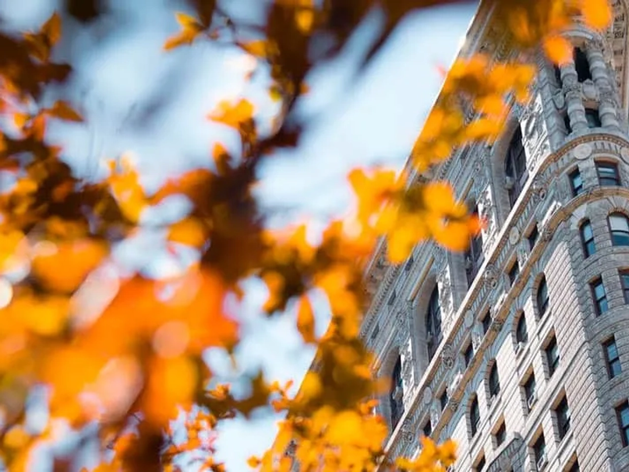 Viajar a Estados Unidos