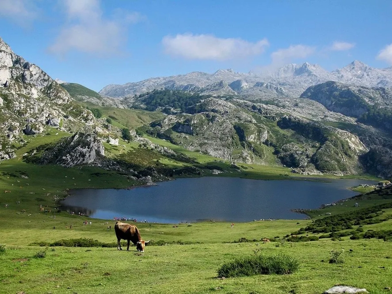 Paisagem montanhosa com lago e vaca pastando nas Astúrias.