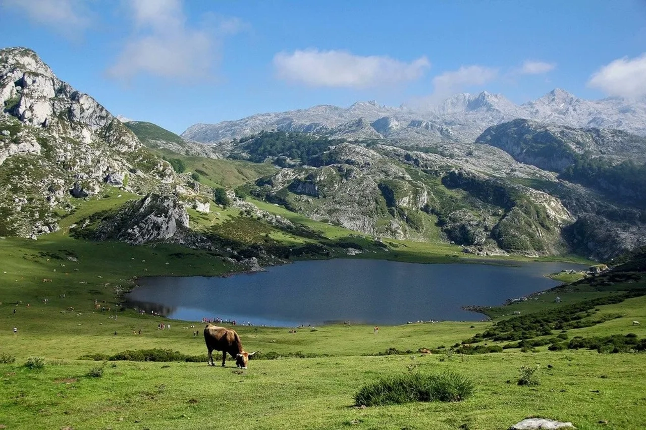 Paisagem montanhosa com lago e vaca pastando nas Astúrias.