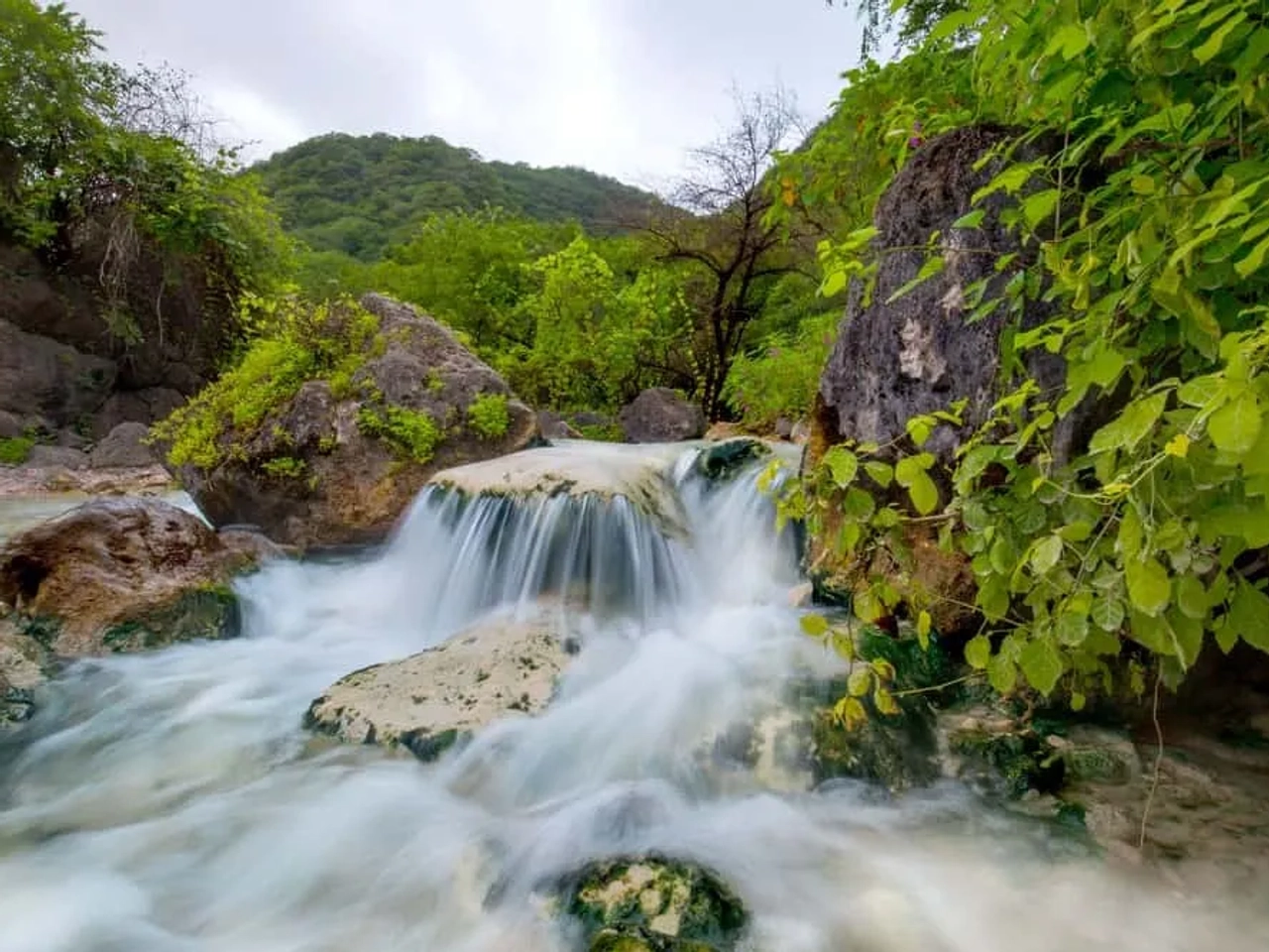 Salalah en tu itinerario por Omán