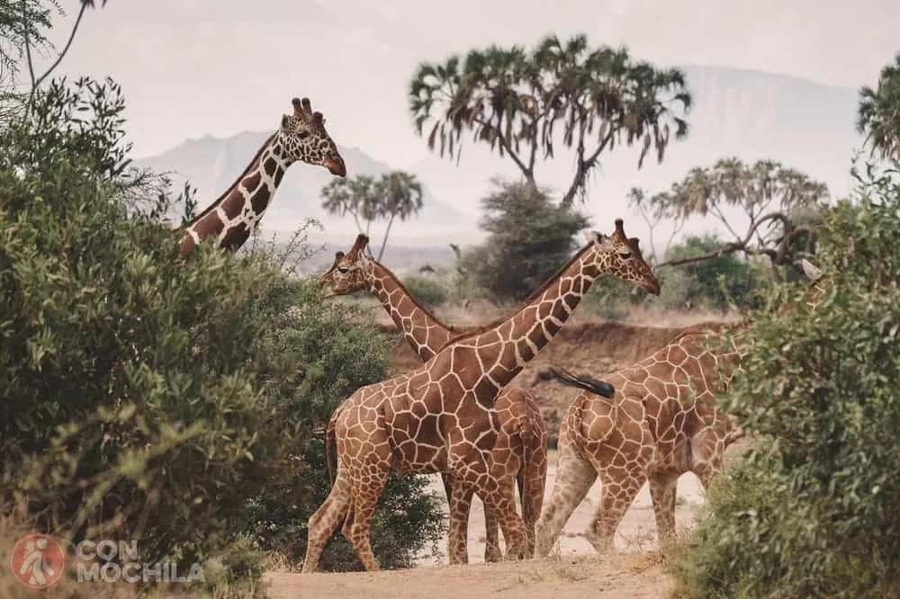 consejos turismo responsable ConMochila
