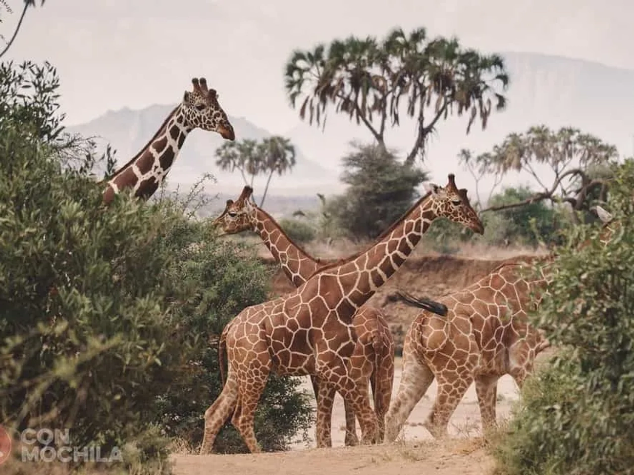 consejos turismo responsable ConMochila