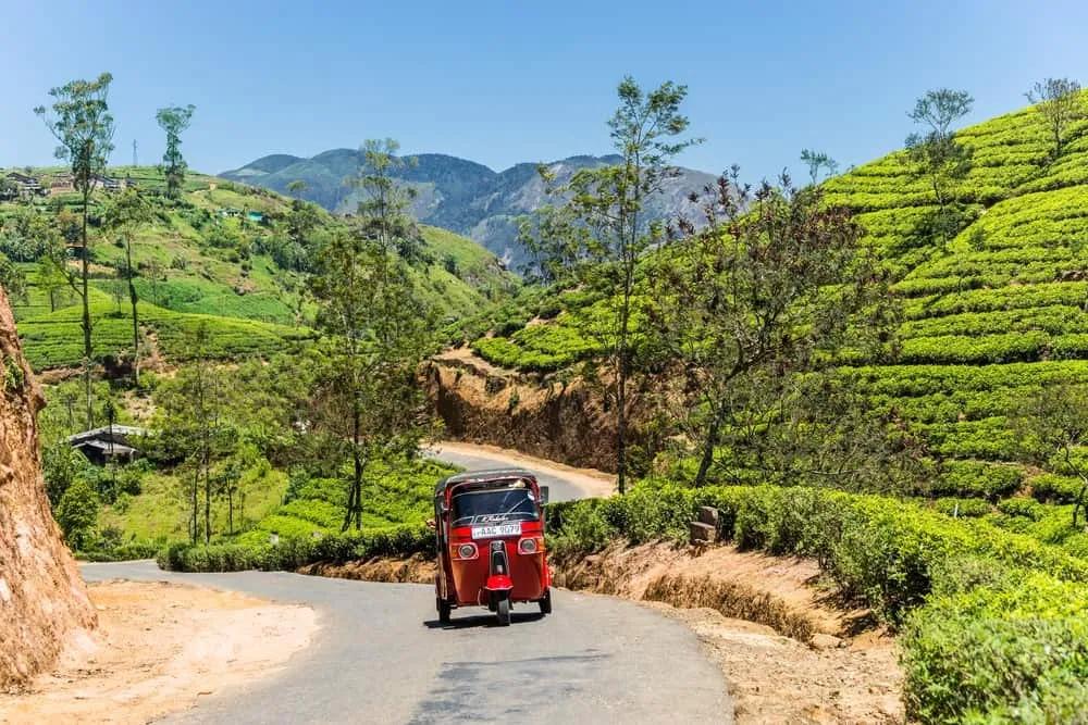 alquilar tuk tuk en Sri Lanka