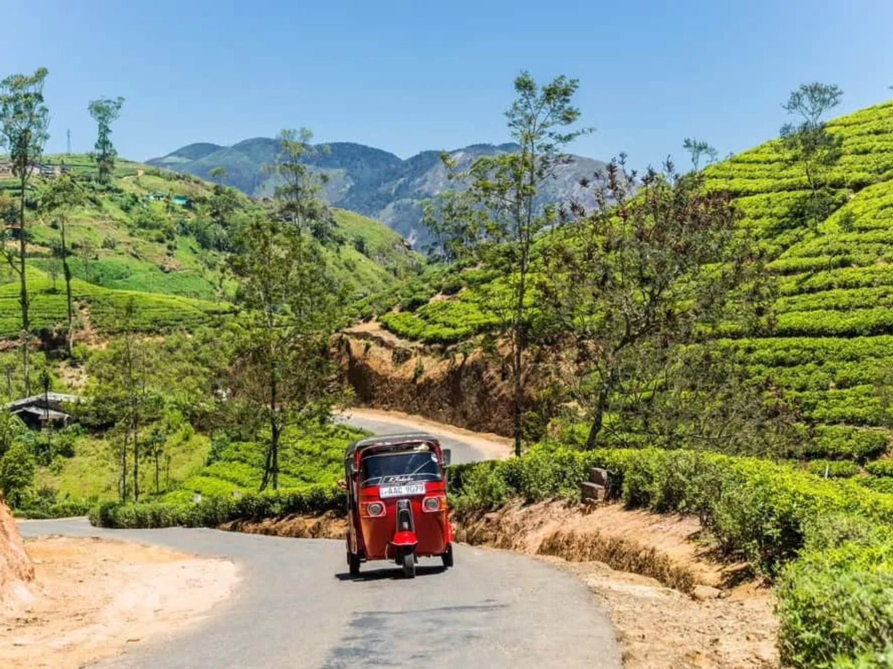 alquilar tuk tuk en Sri Lanka