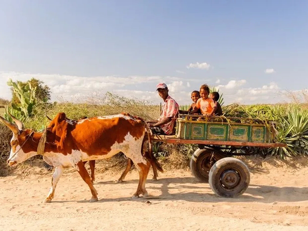 Carreta tirada por un buey con un hombre y dos niños en Madagascar.