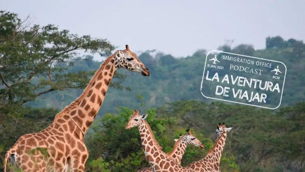 Podcast: turismos responsable con Animales