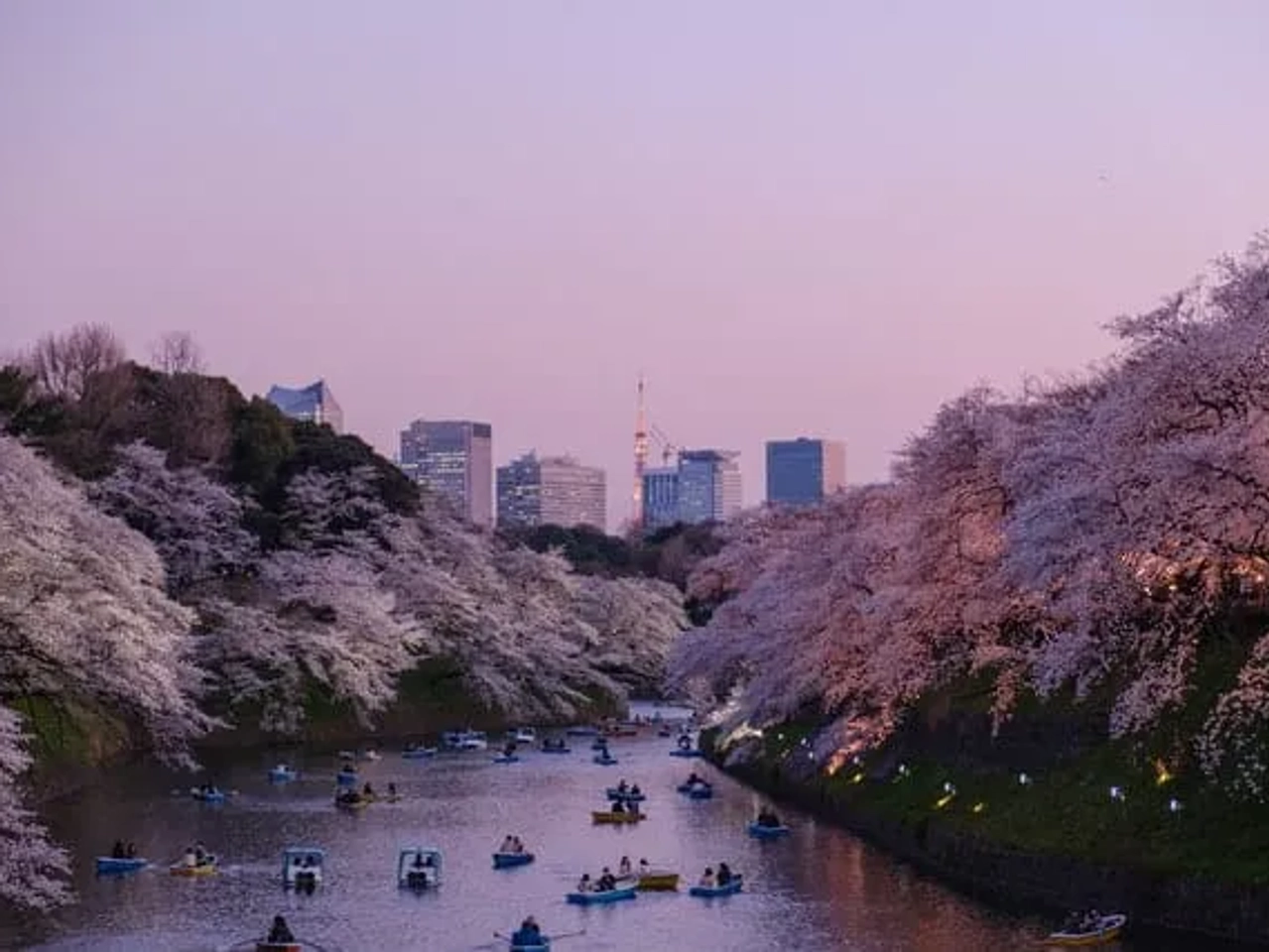 pessoas a andar em barcos em rio em Tokyo no Japão