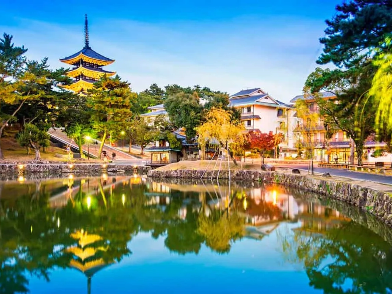 la ciudad de los ciervos en Japón