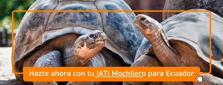 contratar seguro de viaje a Ecuador