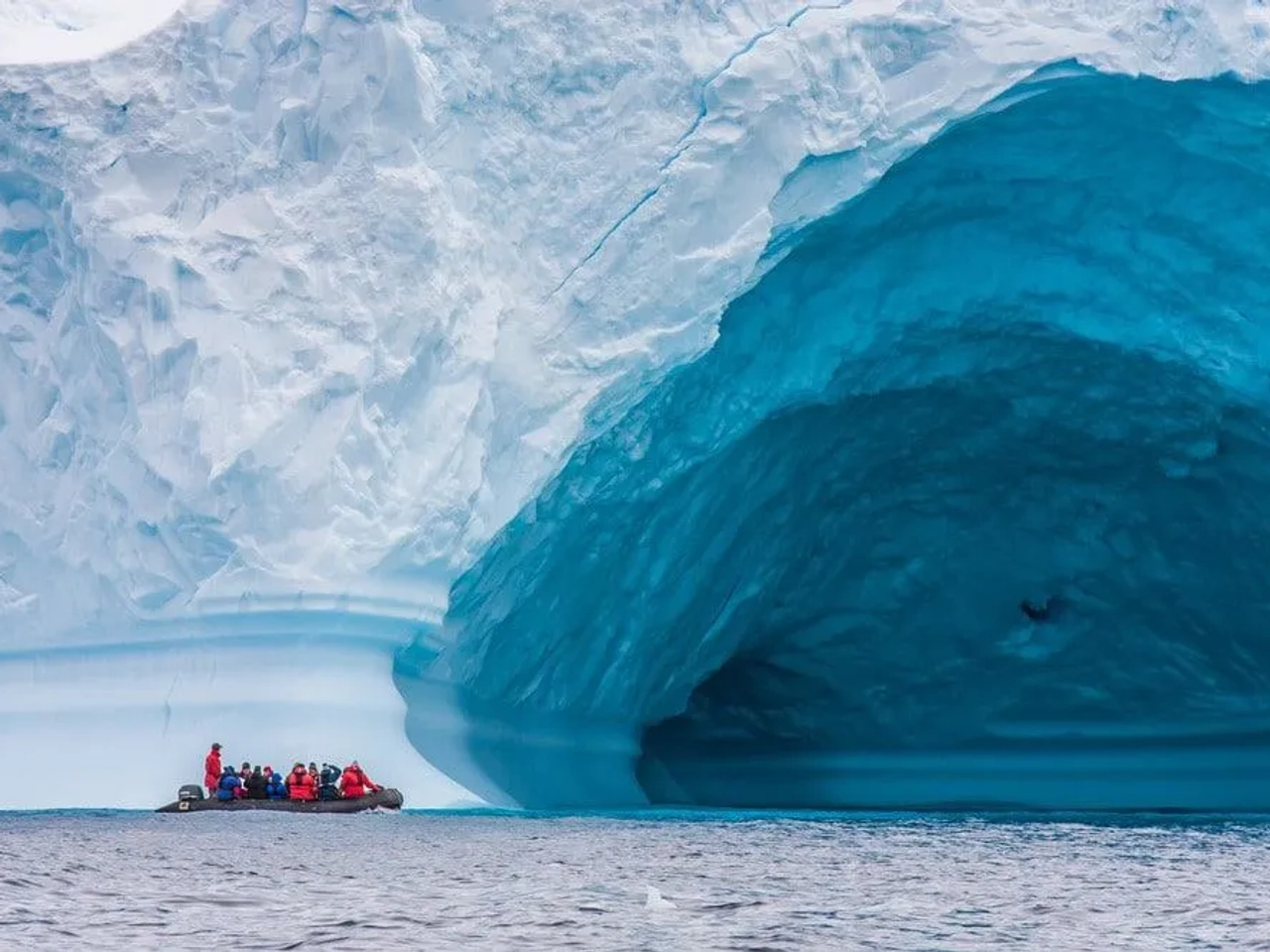 crucero por la Antártida
