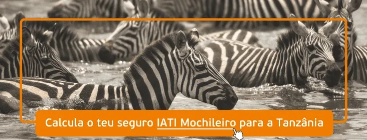 "Calcule seu seguro de viagem IATI para a Tanzânia!"