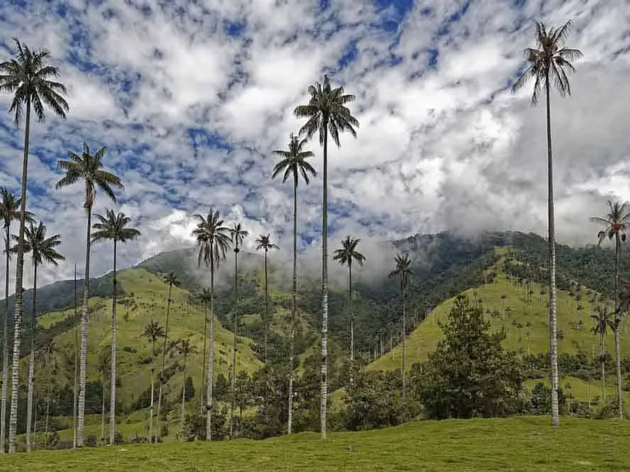 podcast sobre viajar a Colombia