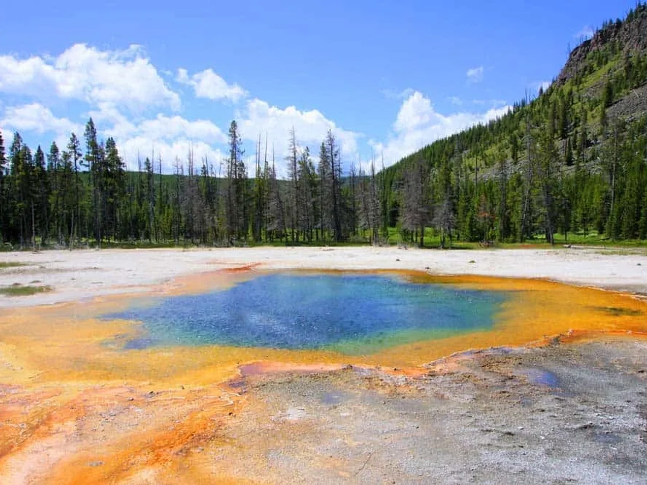 viajar seguro a Yellowstone