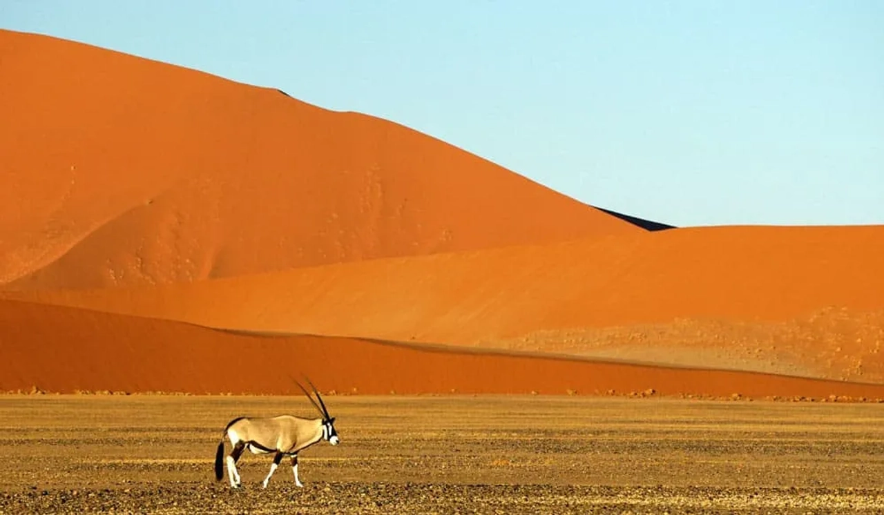 dónde viajar este verano