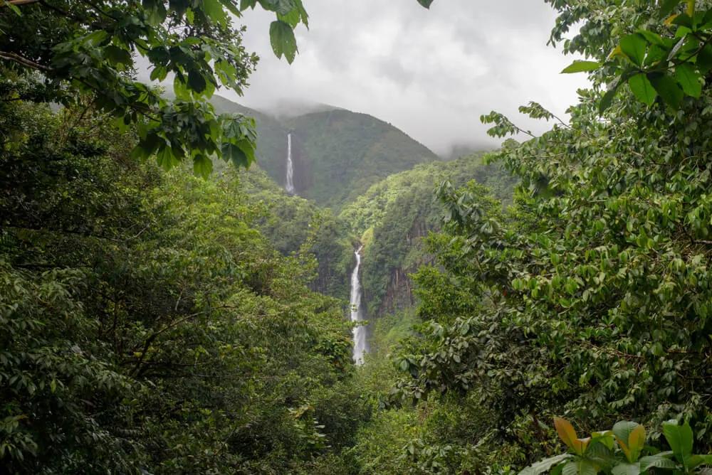 queda de agua e floresta do parque nacional de guadaloupe