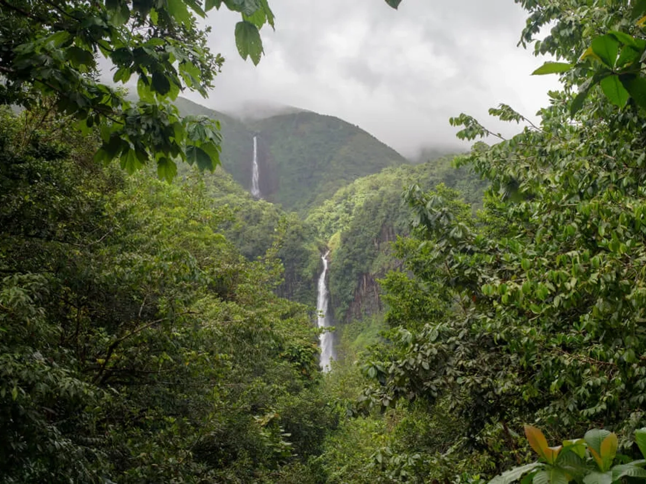 queda de agua e floresta do parque nacional de guadaloupe
