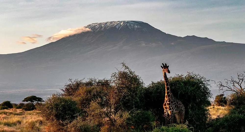 documentos para viajar a Kenia