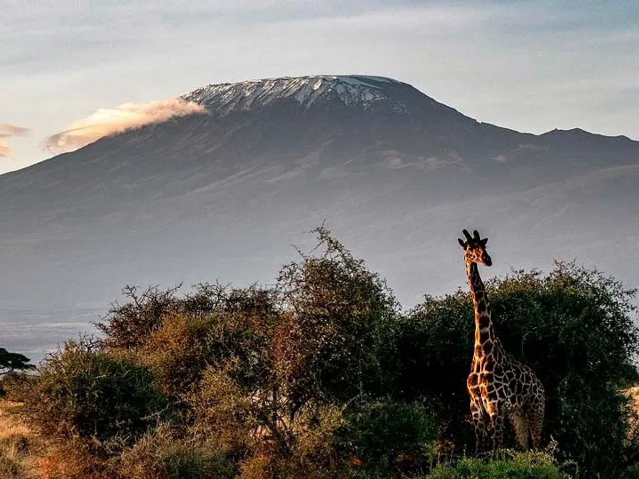 documentos para viajar a Kenia