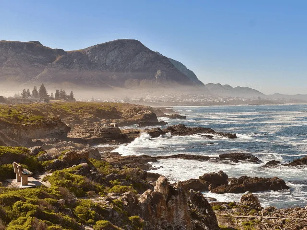 vista da praia de hermanus com rochas e vegetação na africa do sul