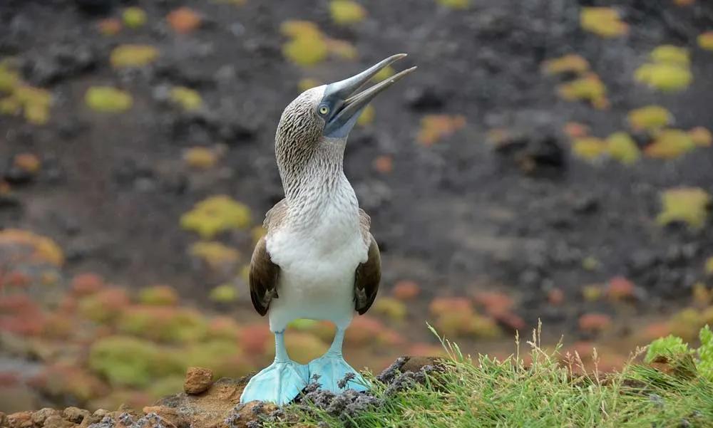 planificar viaje a Ecuador