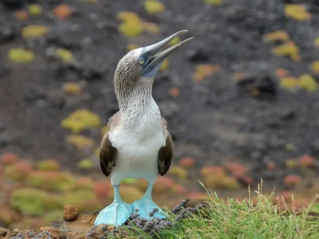 planificar viaje a Ecuador