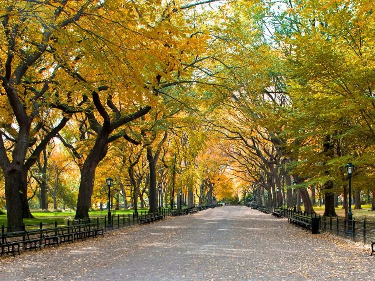 Qué hacer en Nueva York