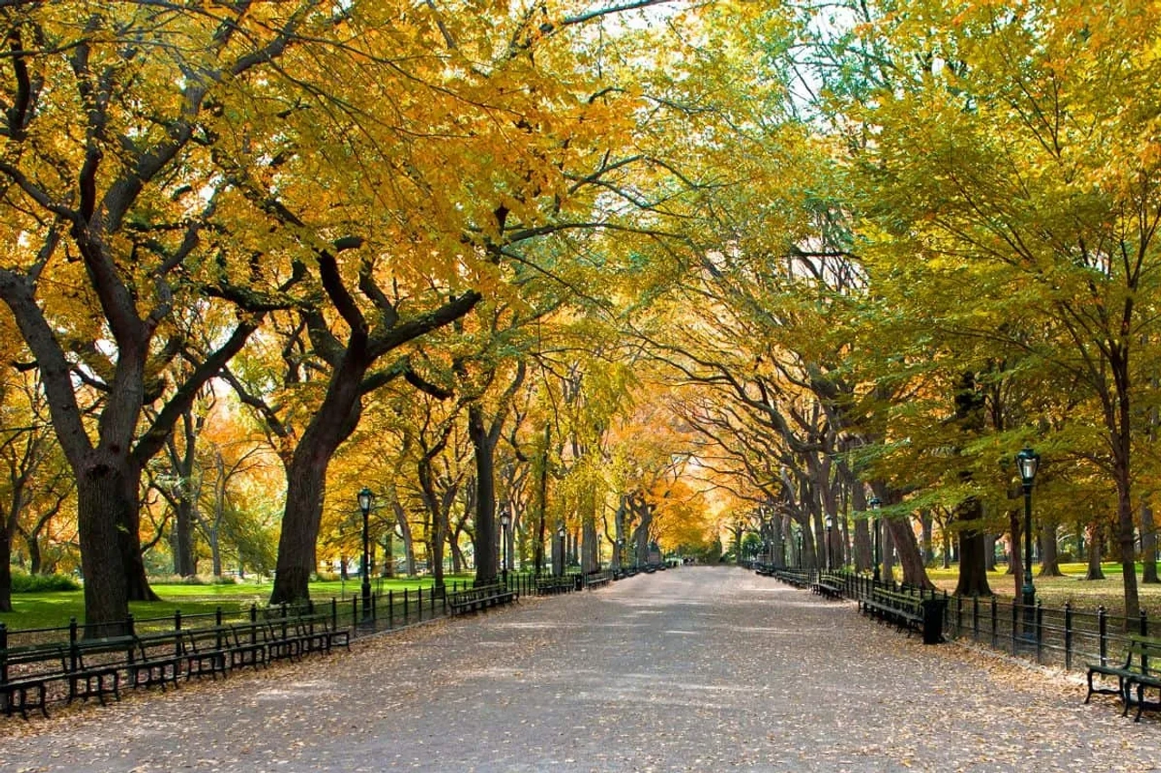 Qué hacer en Nueva York