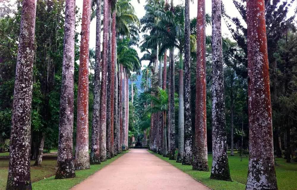 Visitar el Jardín Botánico