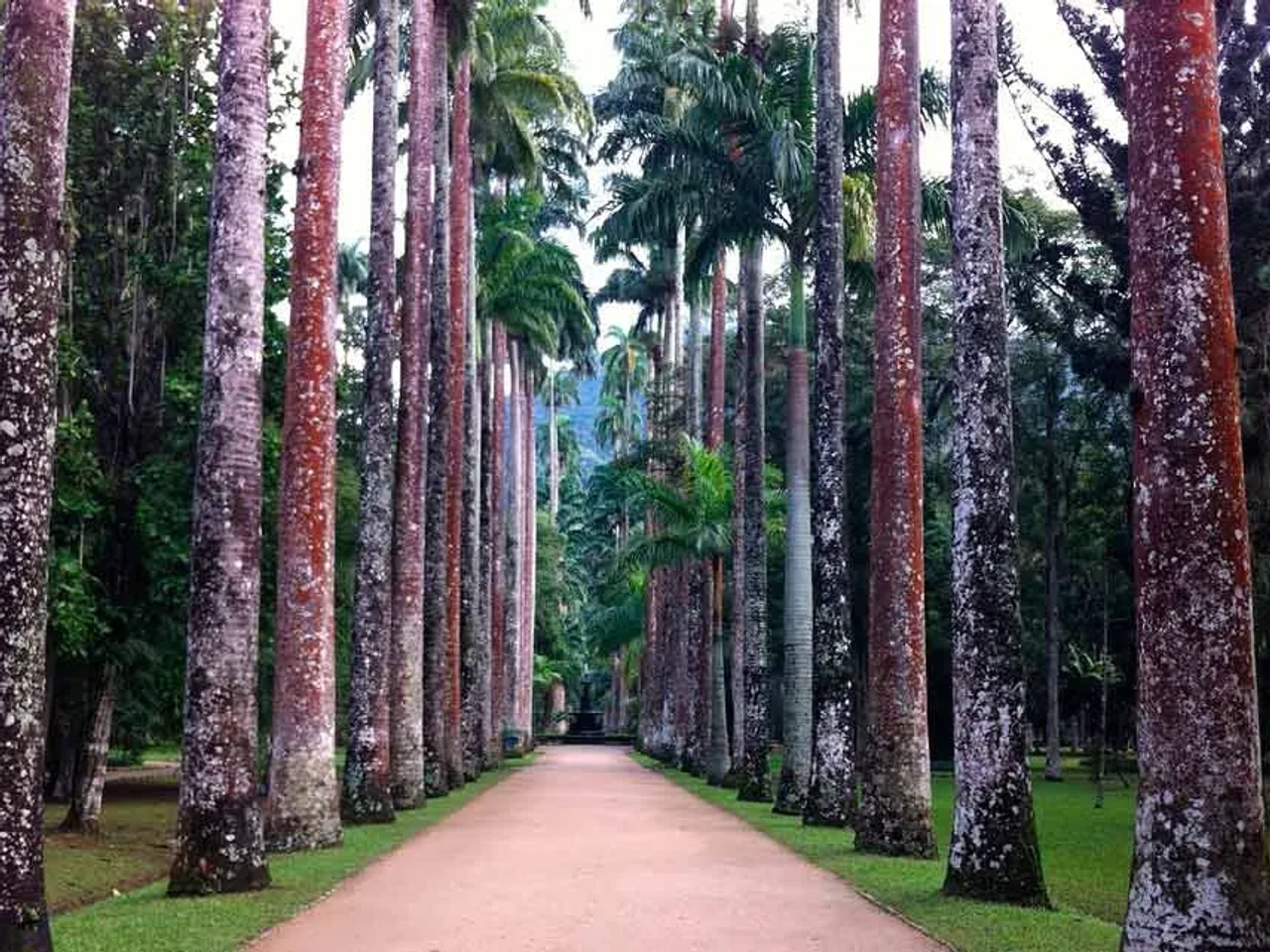 Visitar el Jardín Botánico