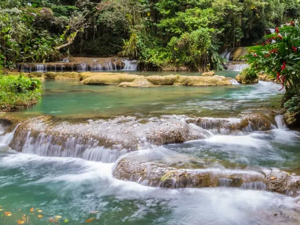 cascadas de Jamaica