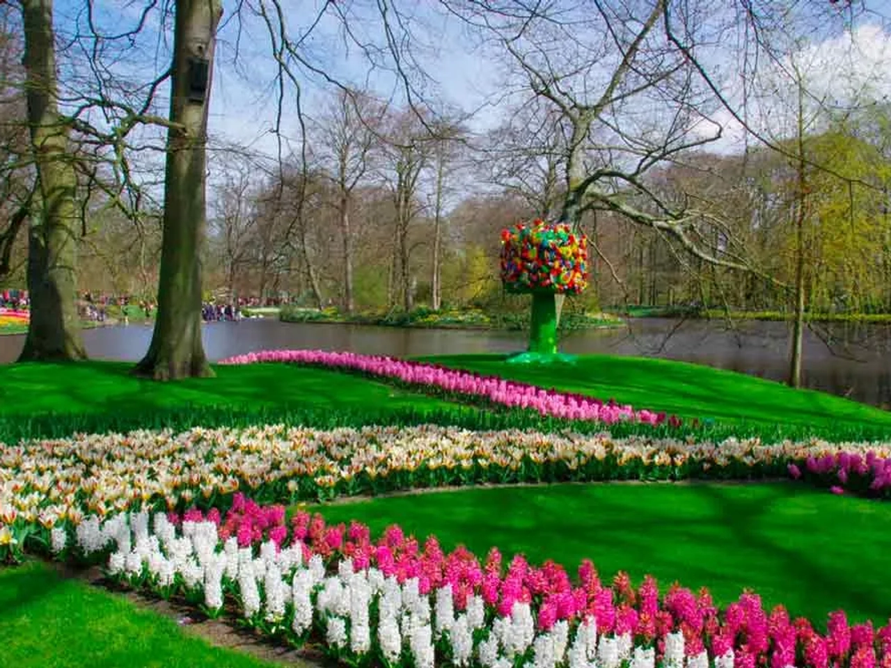 Keukenhof: Un paraíso de tulipanes y colores vibrantes