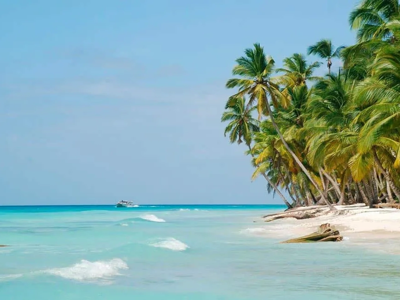 Isla Saona y las increíbles playas que ver en República Dominicana