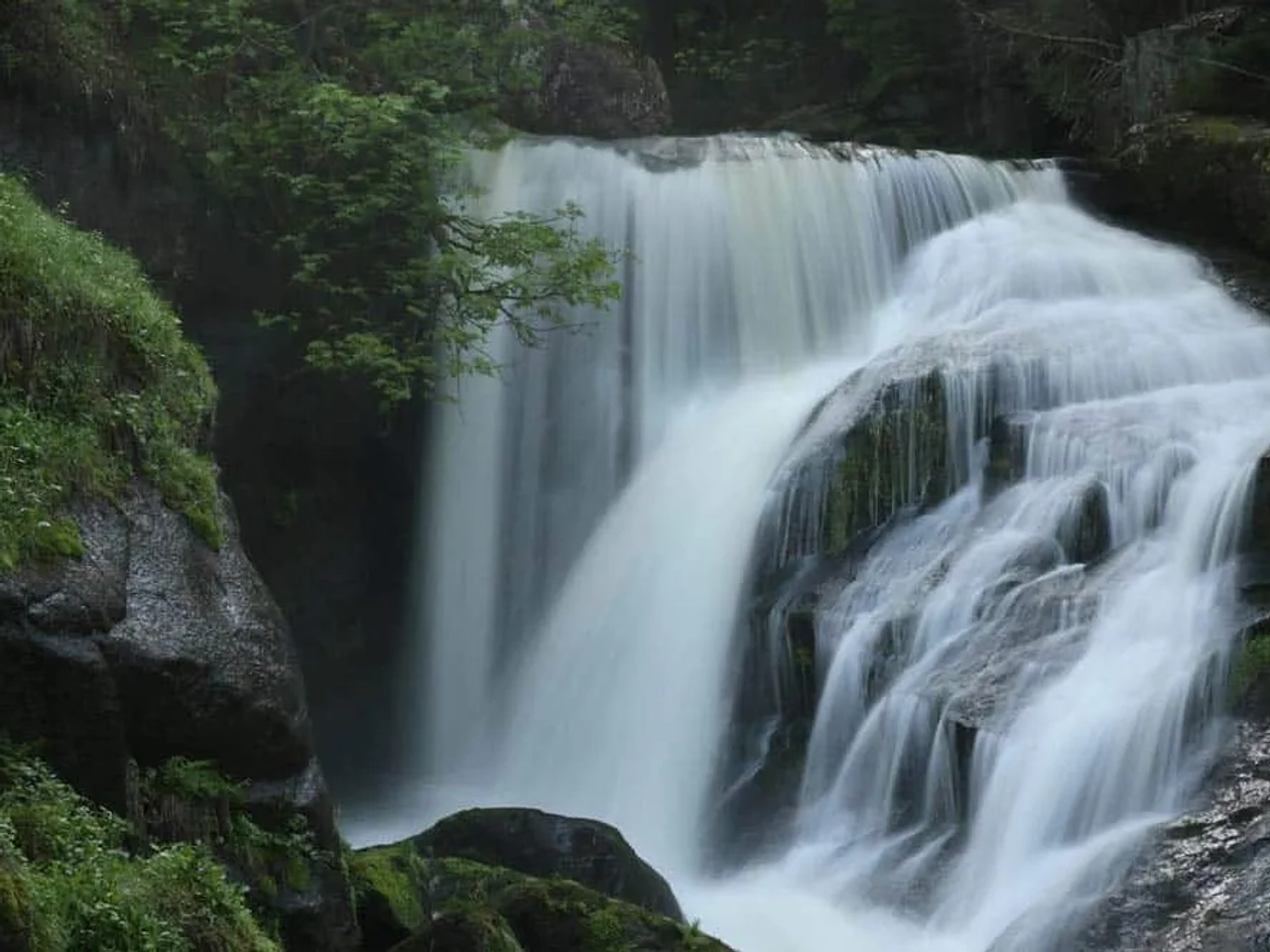 Cascadas en Selva Negra